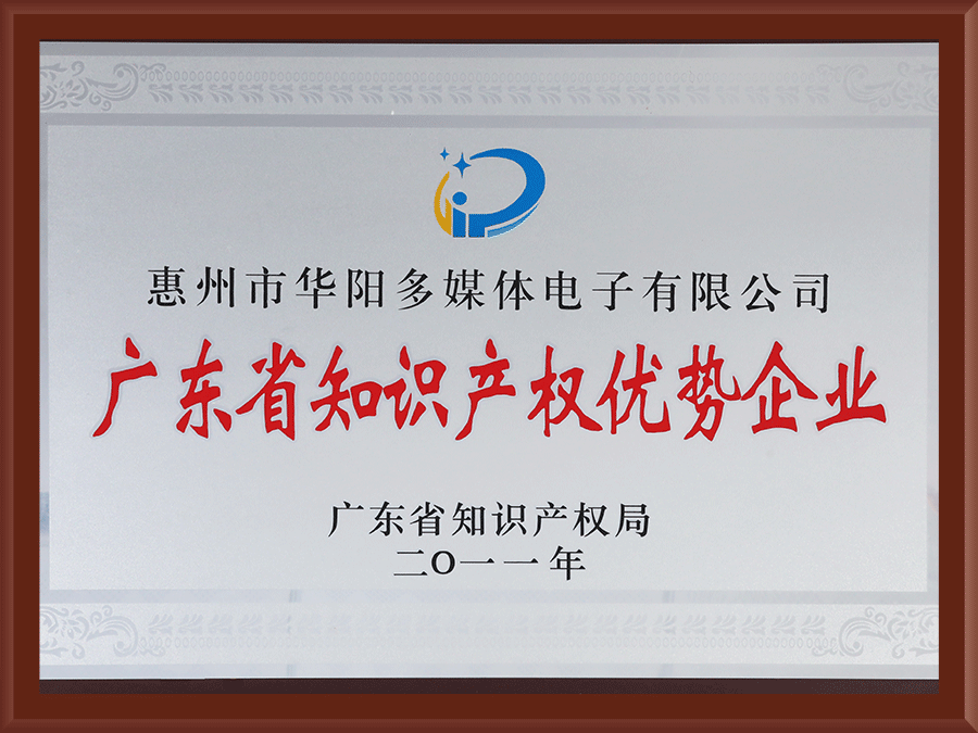 Guangdong Intellectual Property Advantage Enterprise